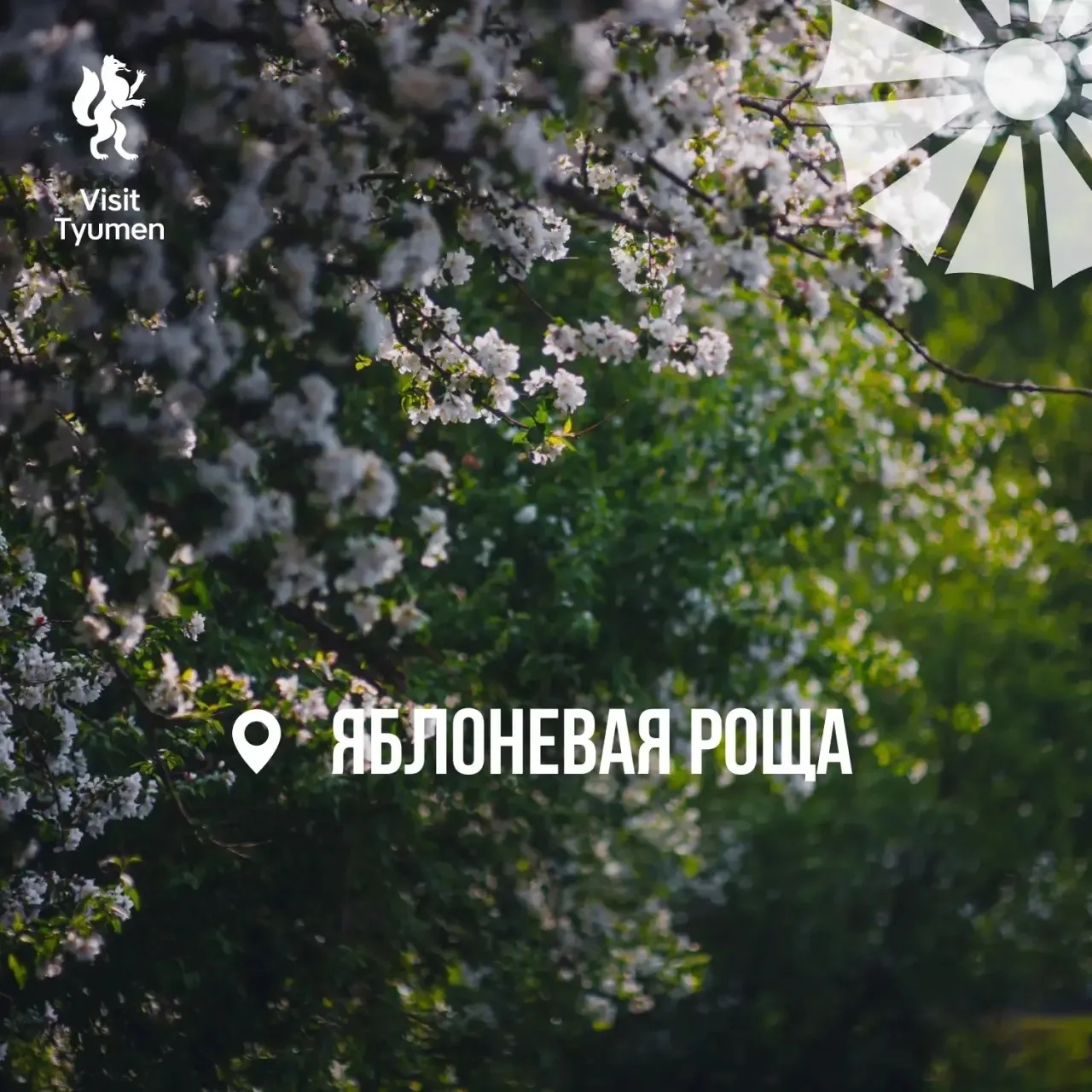 🌸 Хотим утопать в цветах!  На деревьях уже созревают цветы, а мы давно созрели для весенних фотосесс