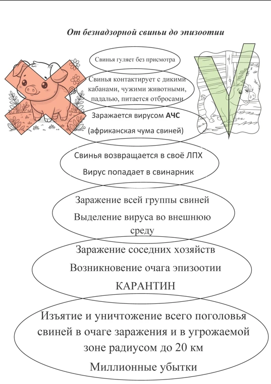 Информиуем об опасности безнадзорного выгула и отсутствии идентификации скота🐮🐷

Подробная информа