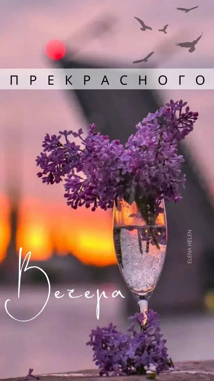 🌺ОТКРЫТКИ И ПОЗДРАВЛЕНИЯ 🌺
