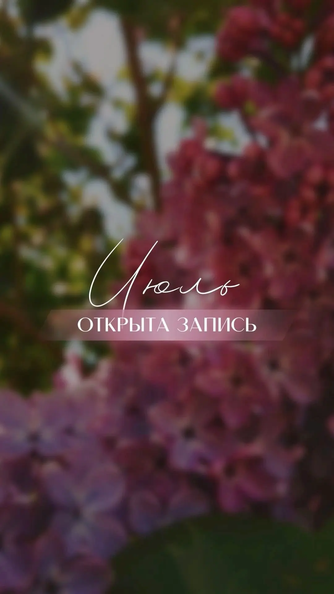 В филиале на Афонтовском 2 
Открыта запись на Июль 🍒
.
Запись по ссылке ➡️ dikidi.net/g408525?p=...