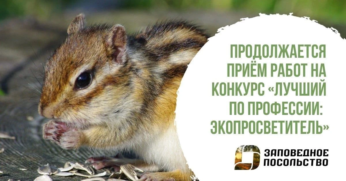 🧩ПРОДОЛЖАЕТСЯ ПРИЕМ ЗАЯВОК НА КОНКУРС
 «ЛУЧШИЙ ПО ПРОФЕССИИ: ЭКОПРОСВЕТИТЕЛЬ – 2026»

✅С 25 мая по 