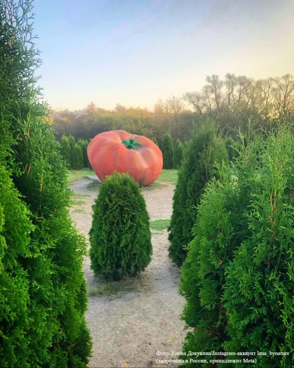 Идём на Кудыкину гору, воровать помидоры 🍅🏔  Ну горы помидоров здесь, конечно, нет. А вот на что пос