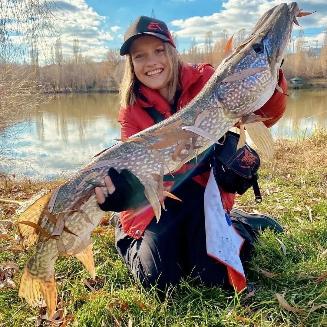 Улов от нашей подписчицы 🎣
Как вам рыбка? 🐟                                                      
