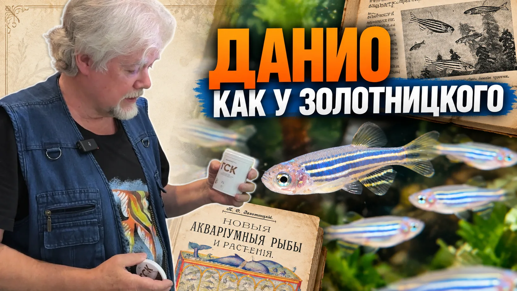Данио как у Золотницкого | Аквариумные истории из ЭКЗОМЕНЮ №192