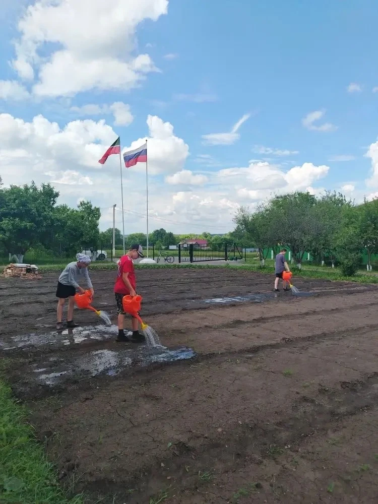 В пришкольном лагере труда и отдыха «Кырмыскалар» кипит настоящая работа! С самого раннего утра наши