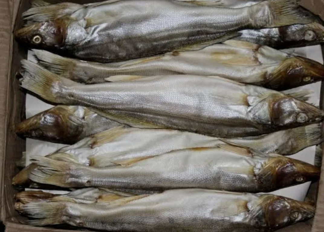 🐟🐟ВЯЛЕНЫЙ СУДАК 🐟🐟
