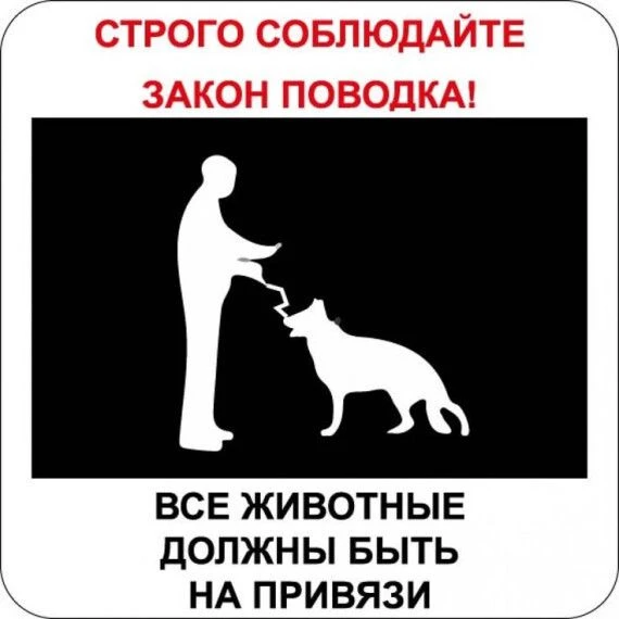 Уважаемые жители Казачкинского муниципального образования, ПРИВЯЖИТЕ СОБАК!