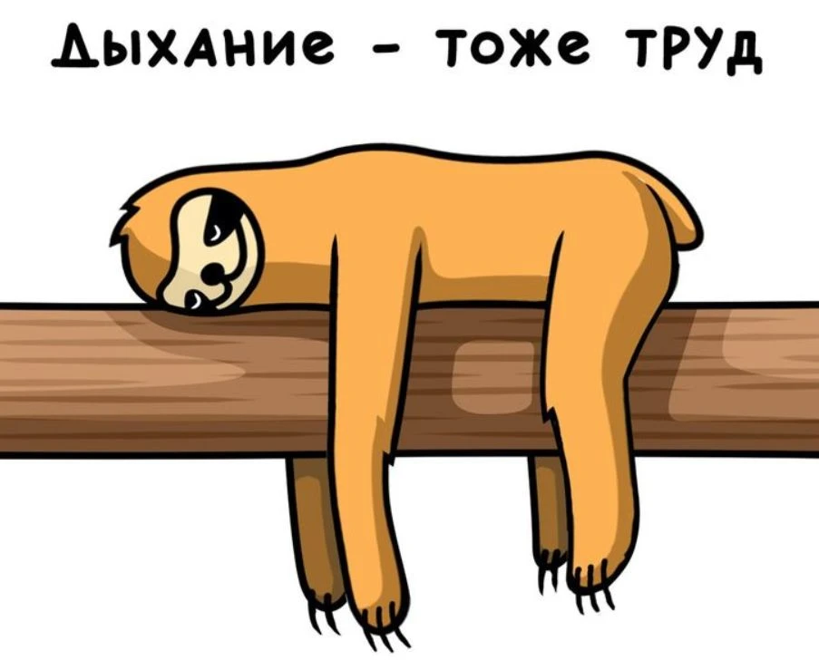 🌤 Доброе утро, НиНо!