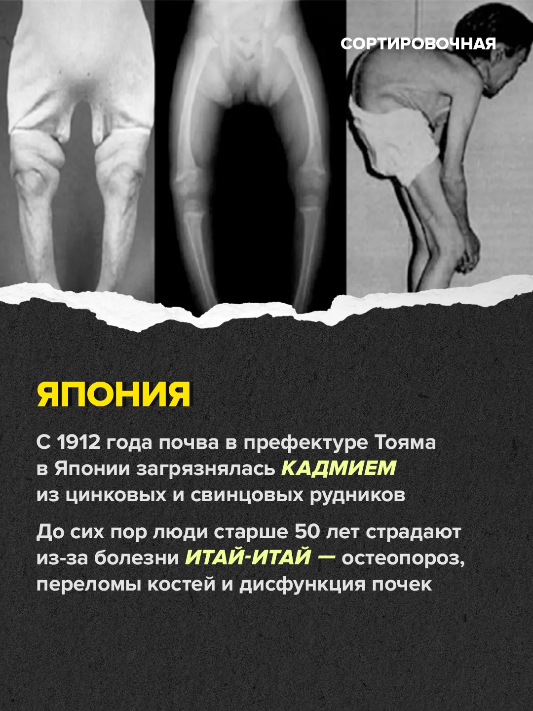 🙏 Сегодня отмечаем Всемирный день здоровья   В 2026 году памятная дата проходит под девизом «Вместе 