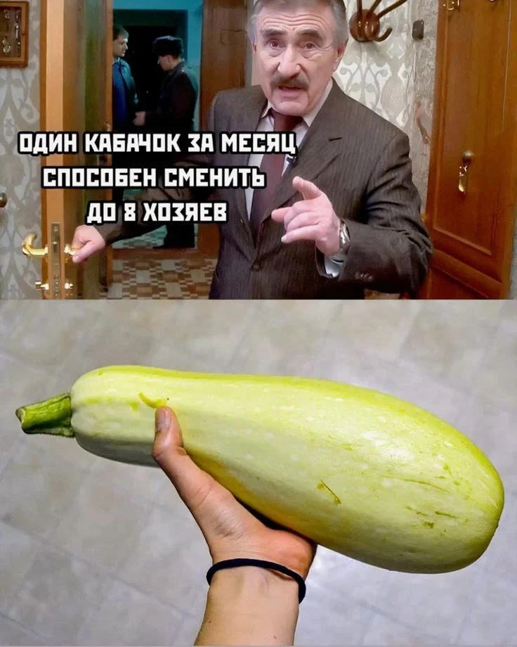 Началось 😂😂😂