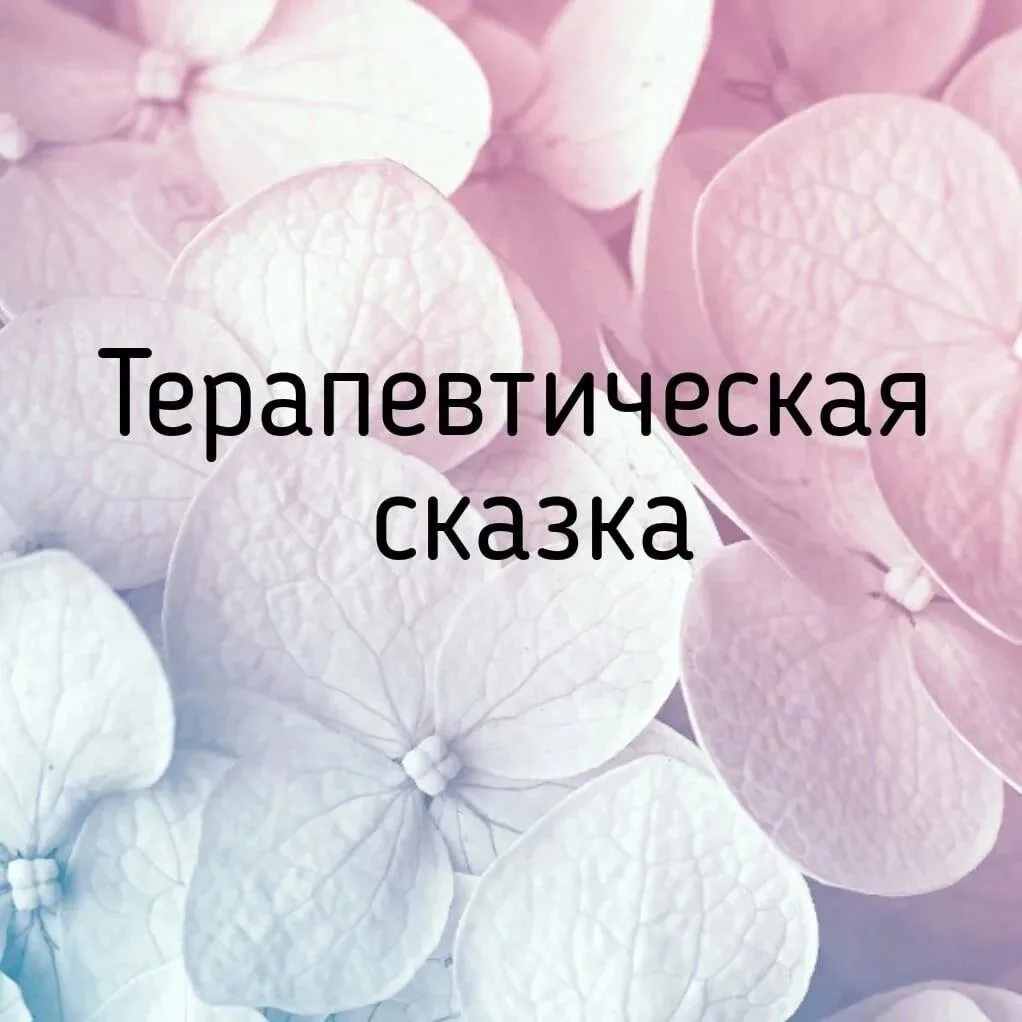 НОВАЯ СКАЗКА