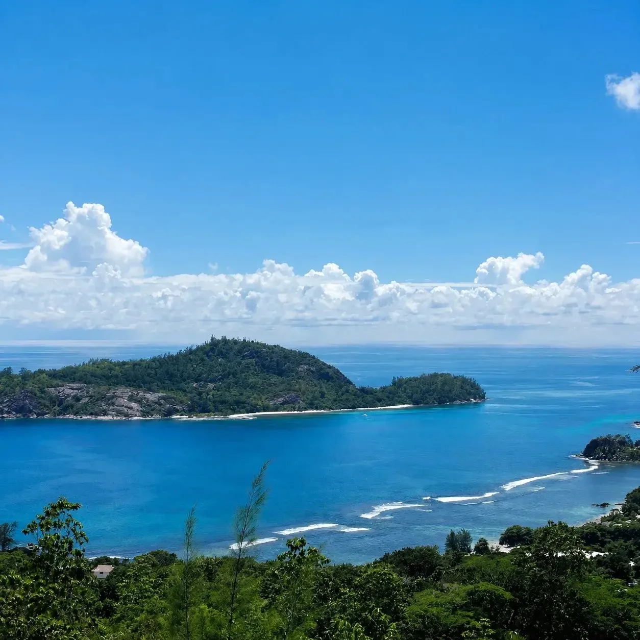 🩵Первая линия океана на одном из лучших пляжей Сейшел

Berjaya Beau Vallon Bay Resort & Casino 4* —