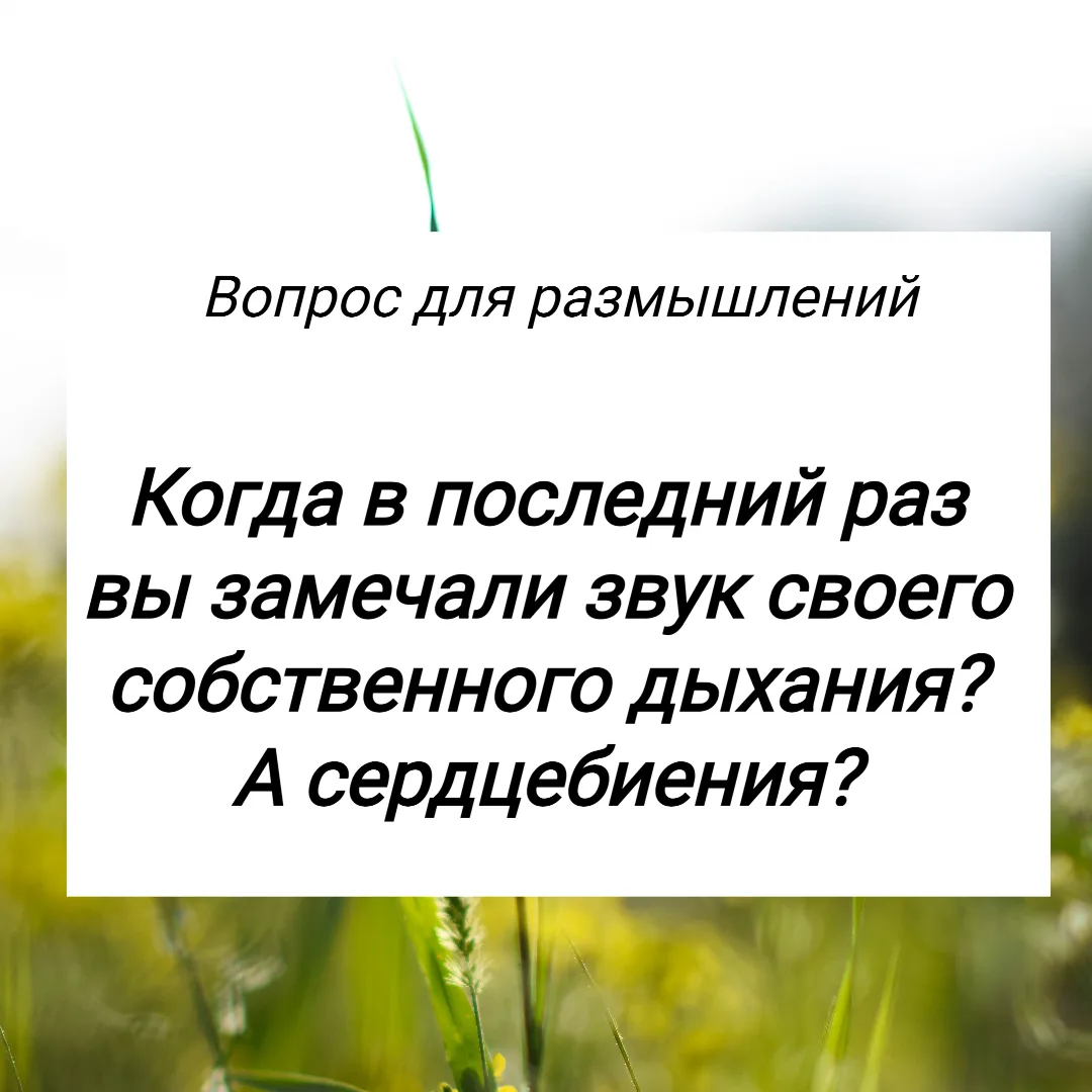 Вопрос для размышлений