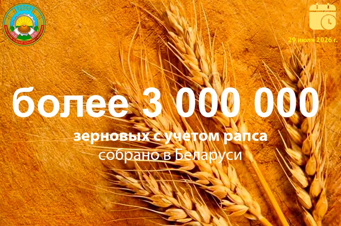 🌾 Есть третий миллион!!! 

По оперативным данным на 29 июля 2026 года в Беларуси  🌾 намолочено зер