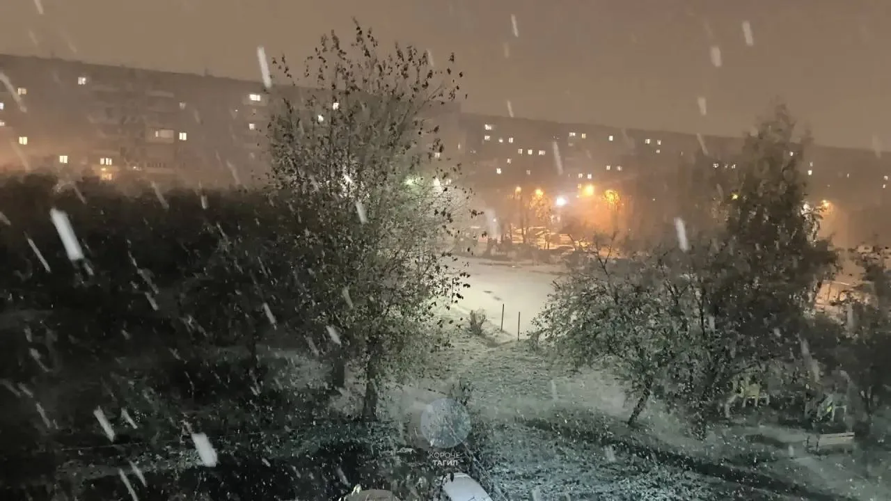Снежок снова добрался до Тагила ❄️