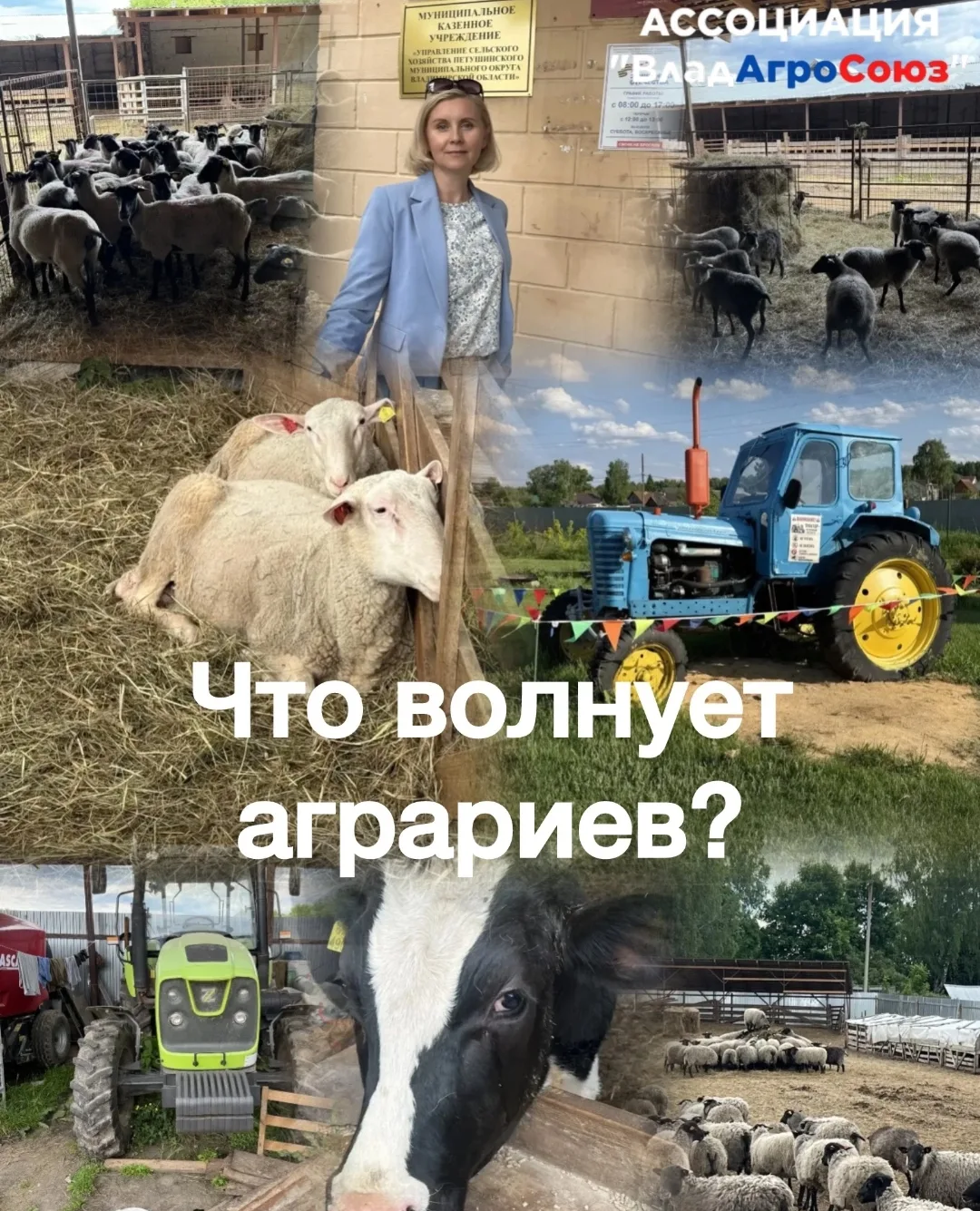 🌾 На текущей неделе Ассоциация ВладАгроСоюз посетила ряд предприятий в Петушинском районе, чтобы уз