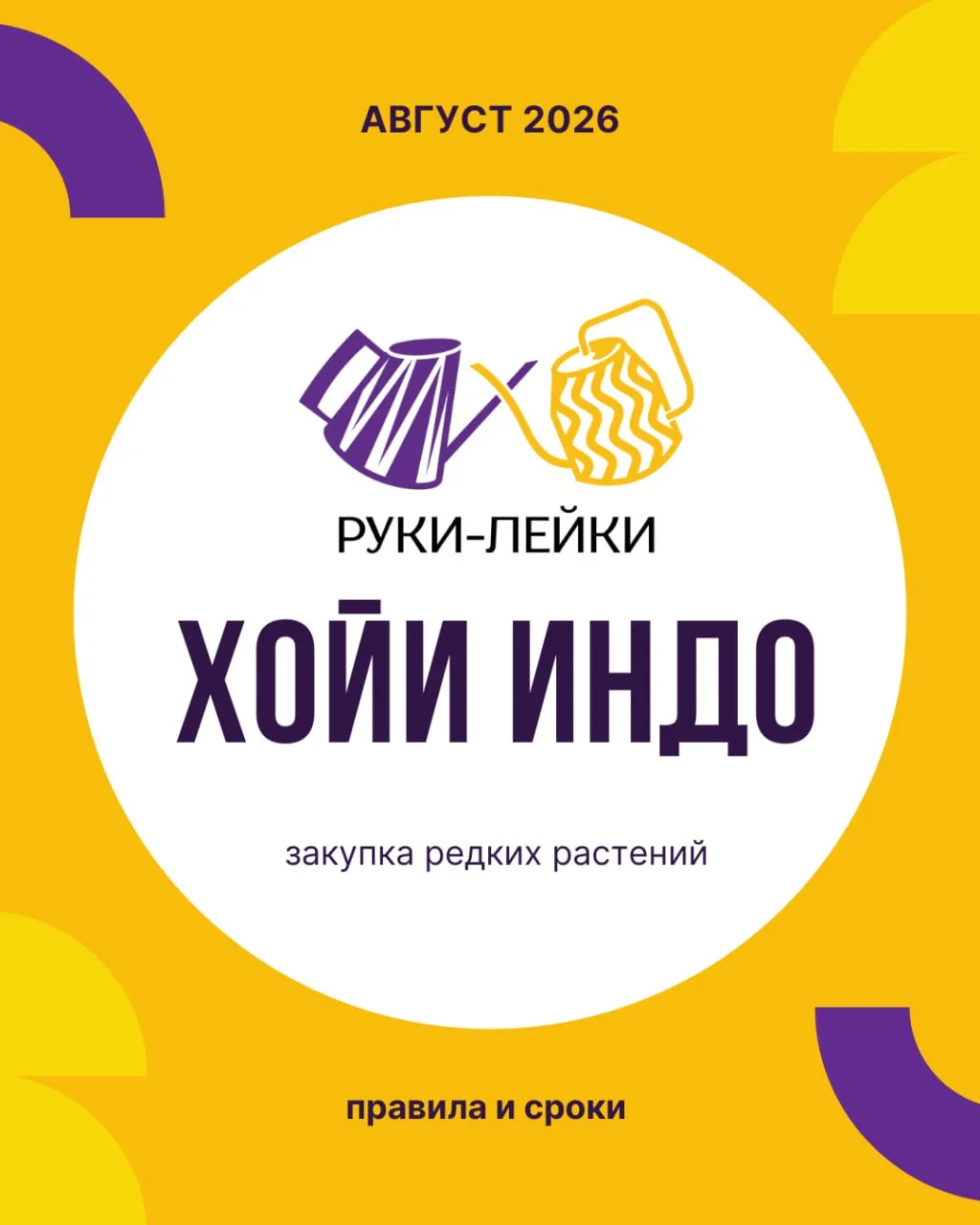 🇮🇩 ЗАКУПКА ХОЙИ из Индонезии