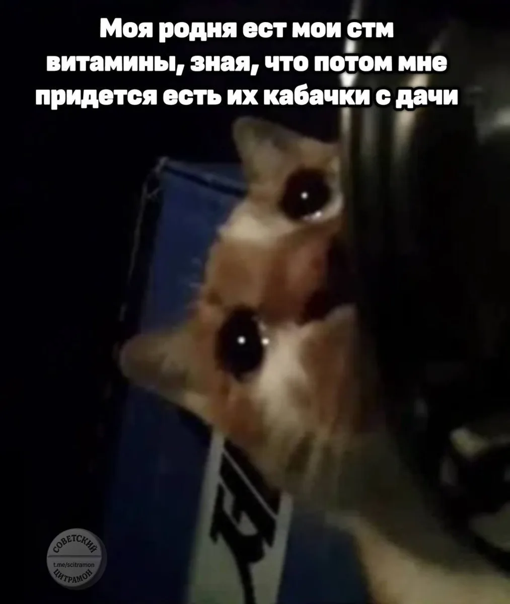 Цитрамон. Подписаться
