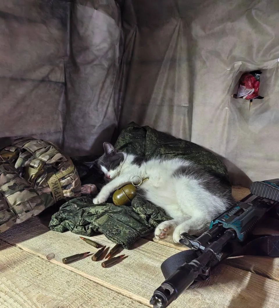 Мышиный вопрос закрыт полностью,