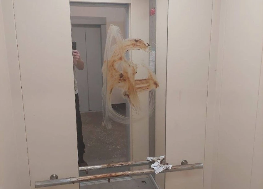 Намазали шоколадом зеркало в лифте, но воняет почему то не сладко. Если это сделали дет...
