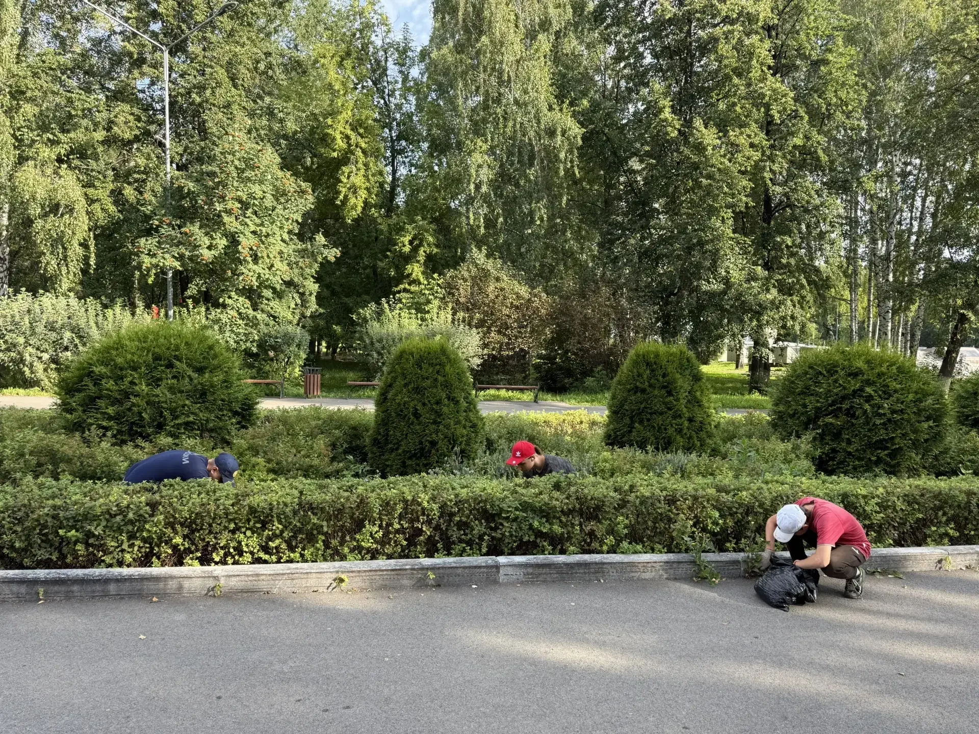 Утренние дела на наших бескрайних полях работы:

✅мусор собрали 
✅нечистоты откачали
✅прополкой заня