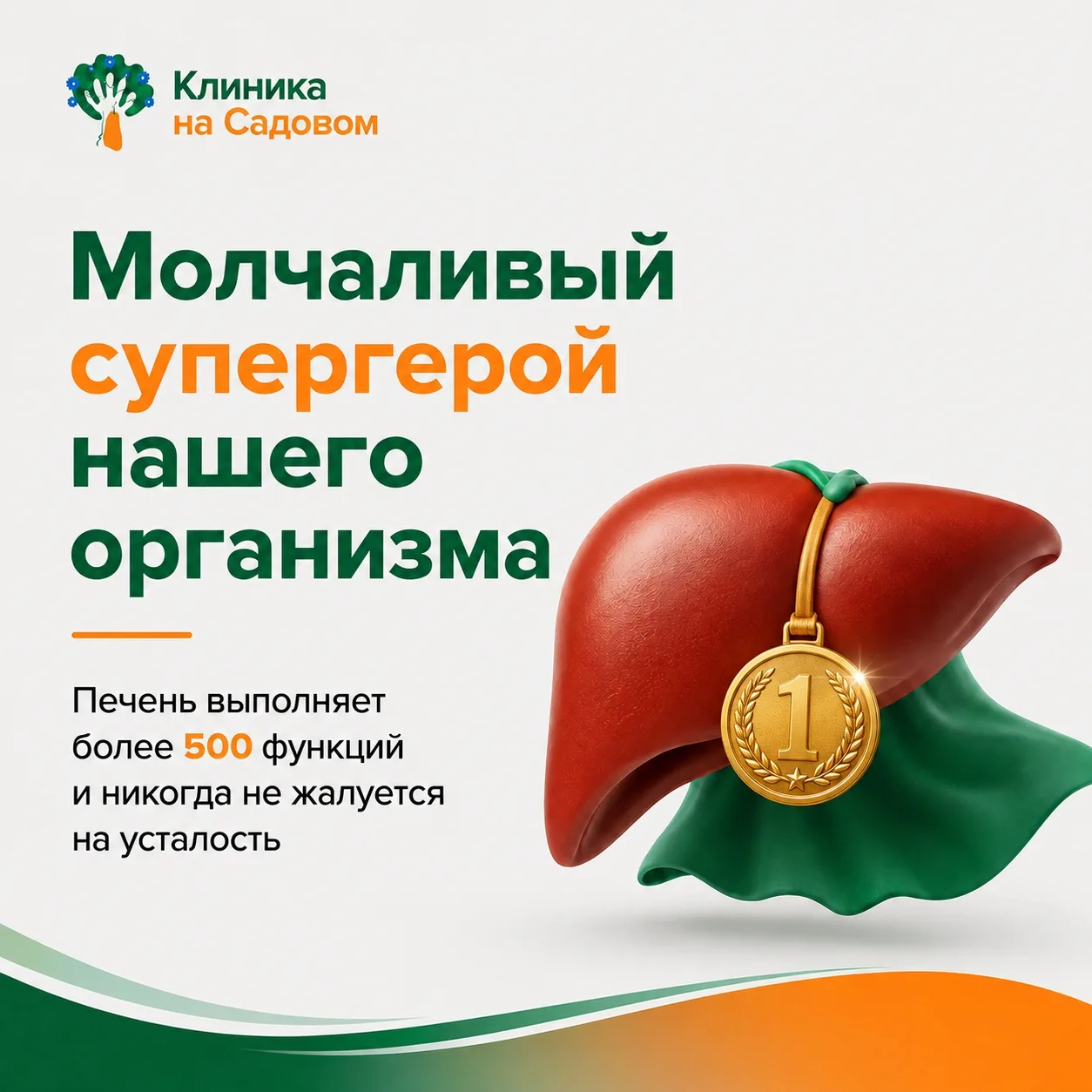 Молчаливый супергерой нашего организма. Печень выполняет более 500 функций одновременно...