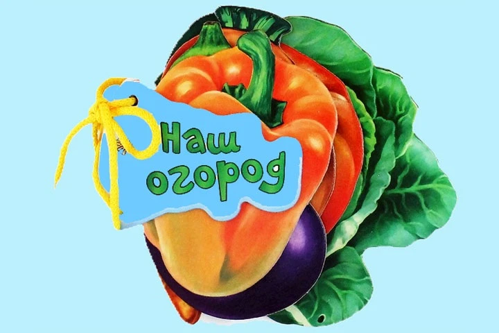 Наблюдение за огородом в детском саду - это интересное и полезное занятие, которое не только помогае
