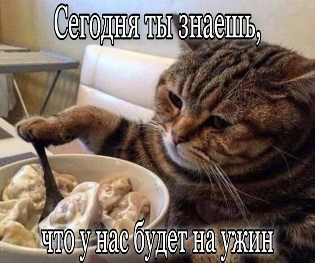 День вареников отмечается сегодня🥟