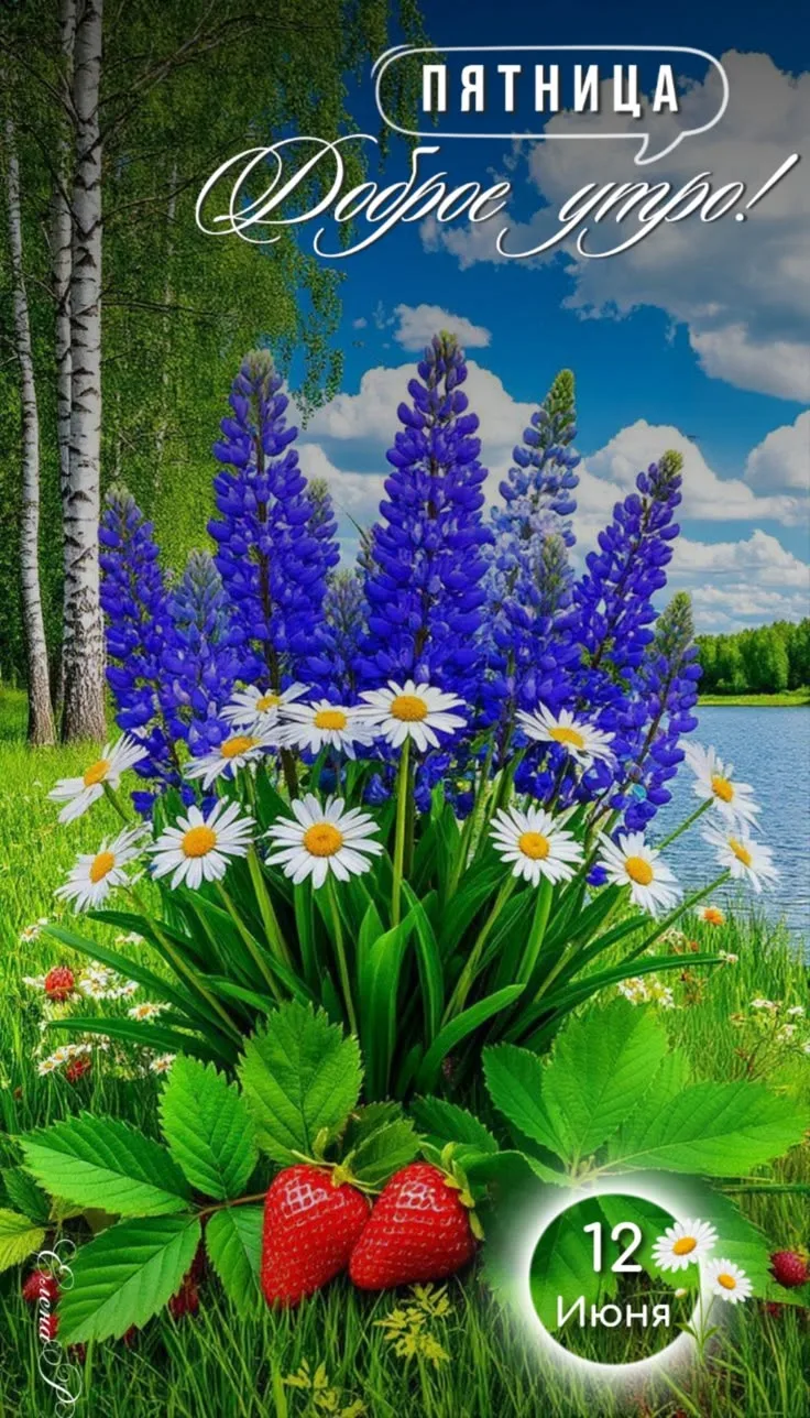 - 🌺 Понравилась открытка — нажмите реакцию и сделайте чей‑то день светлее ❤