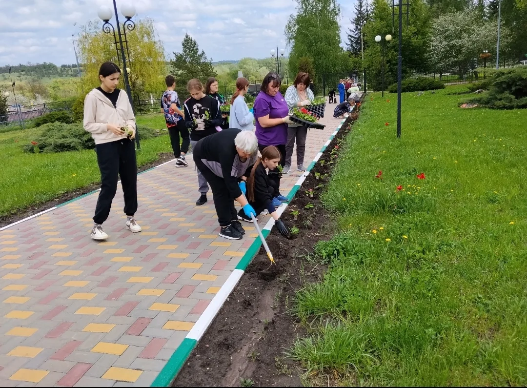Выращивание и высадка  цветов в нашей школе стала доброй, красивой традицией. Учащиеся, педагоги и т