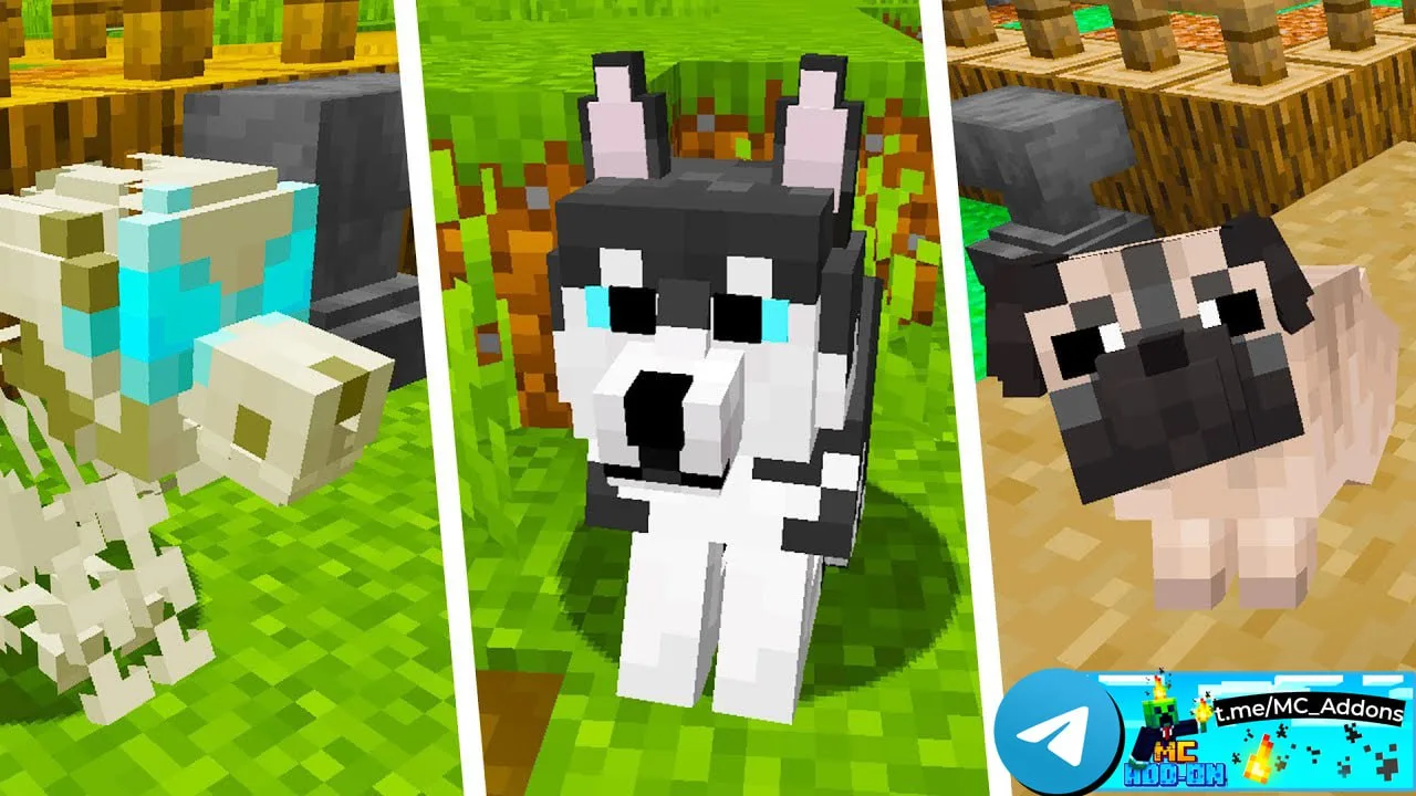 Basic Dogs Addon (1.21)   Преобразует ваш игровой опыт, вводя 14 уникальных пород собак, каждая с тр
