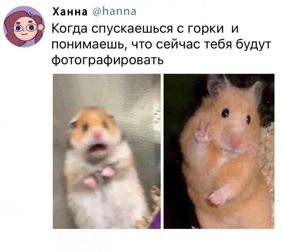 Каталась в этом году на тюбинге?