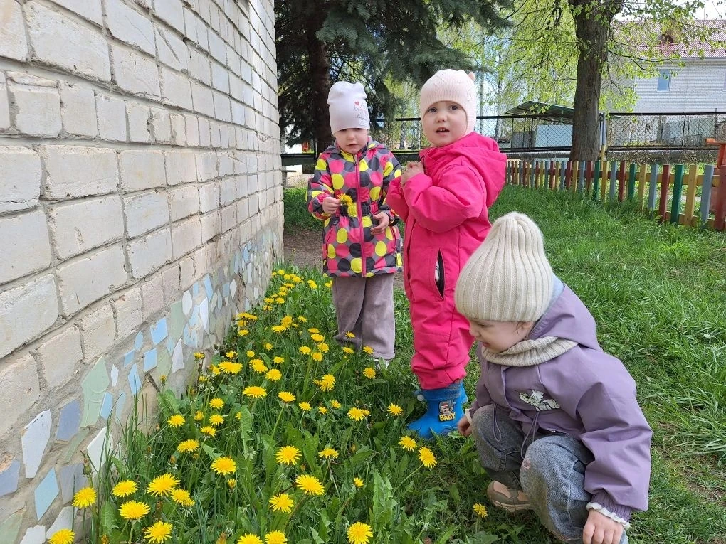 Деньки стоят погожие,