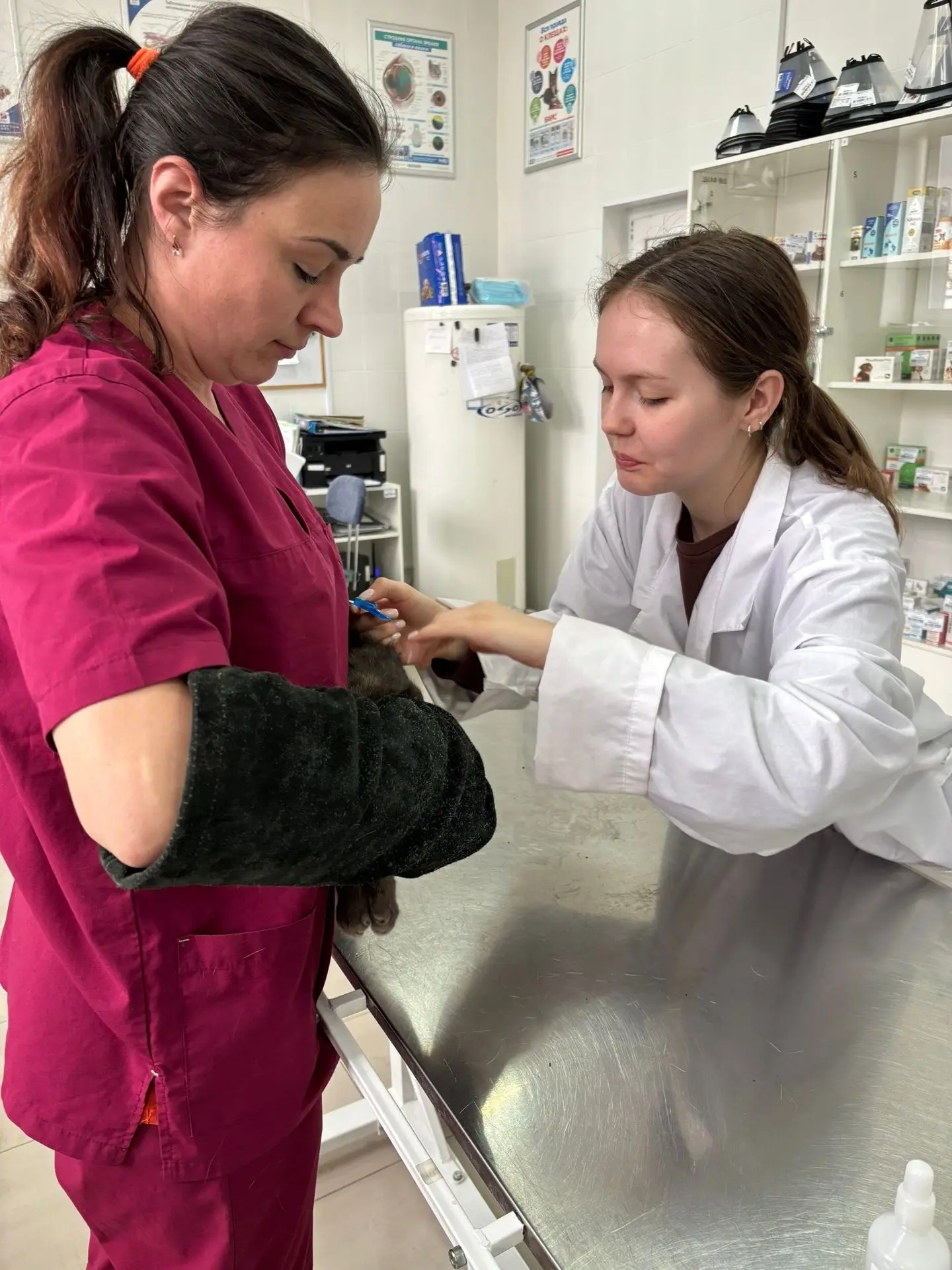 Что играет ключевую роль в становлении любого специалиста, особенно ветеринара? Конечно...