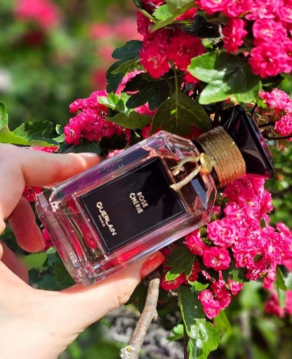 Аромат дня 🍒🌹 💋