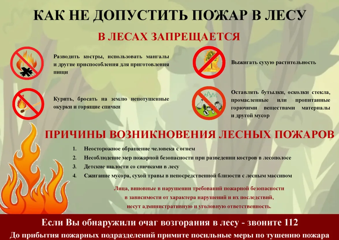 В Сочи действует особый противопожарный режим