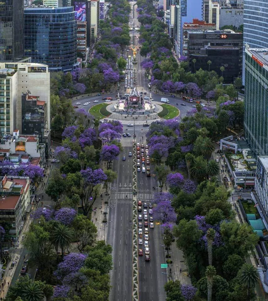 #Мексика🇲🇽