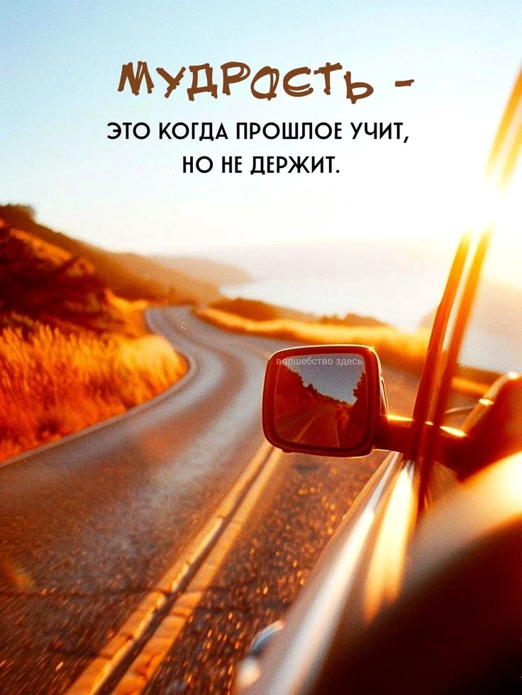 https://max.ru/invista123456