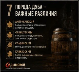 Все ли дубы одинаковые?