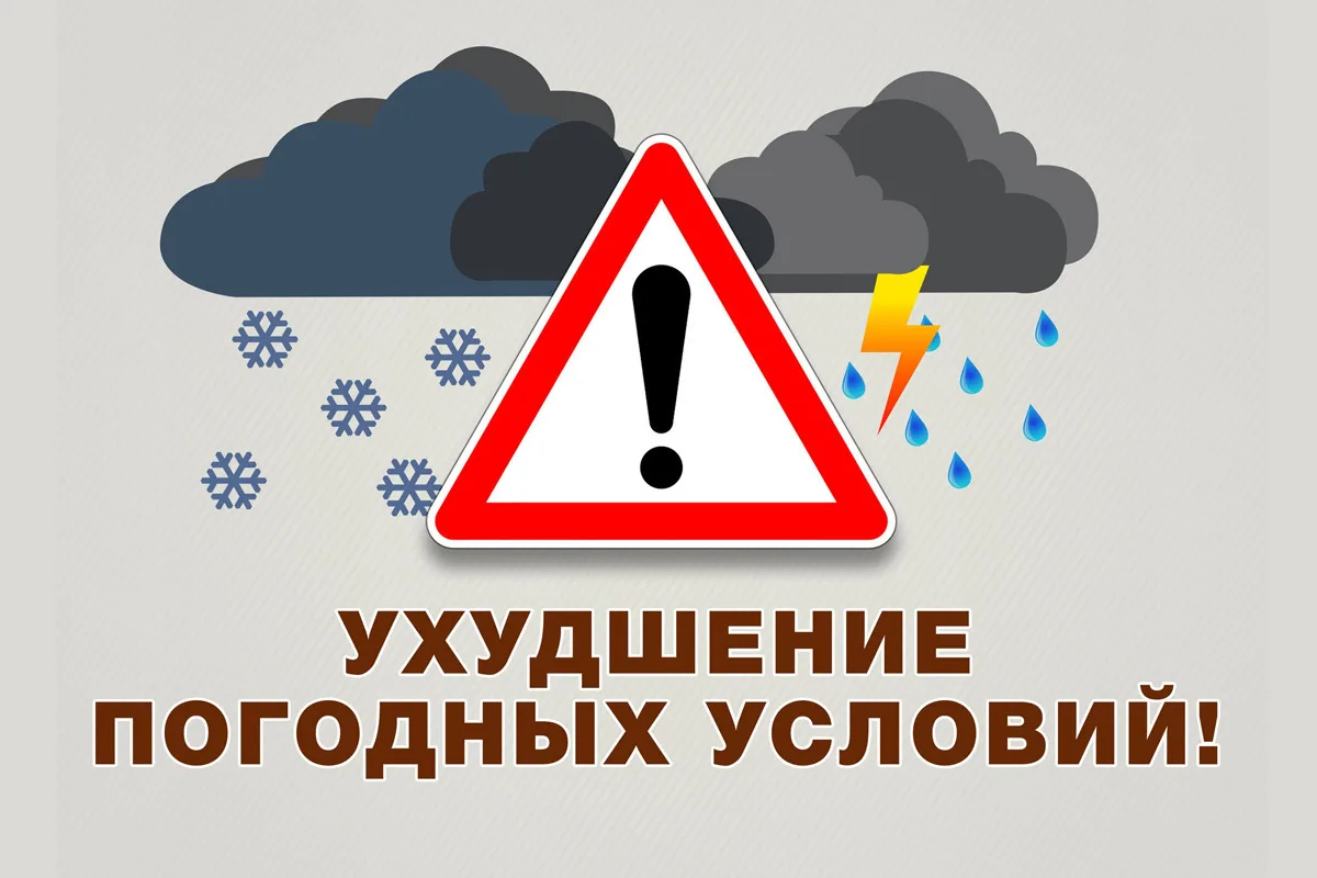 Согласно прогнозу ФГБУ "Северо-Западное УГМС" от 05.08.2026: