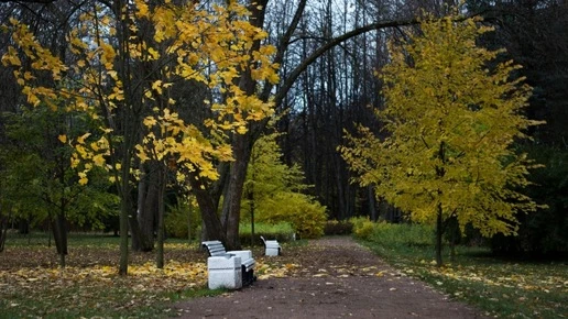 Сортировка в Екатеринбурге сменила репутацию неспокойного района на парковую
