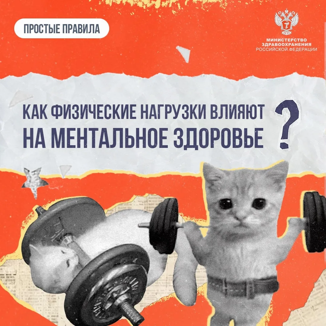 Как физические нагрузки влияют на ментальное здоровье