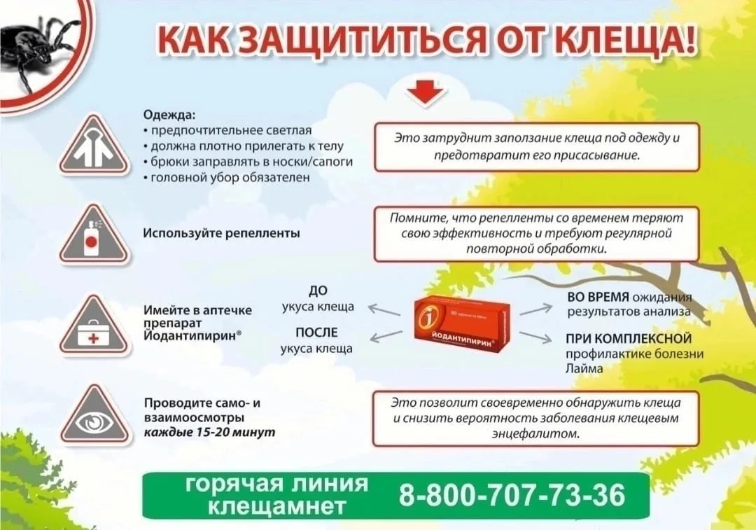 #уроки_безопасности
КАК ЗАЩИТИТЬСЯ ОТ КЛЕЩА