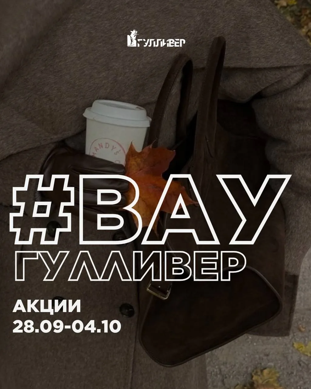 🧺 #ВауГулливер