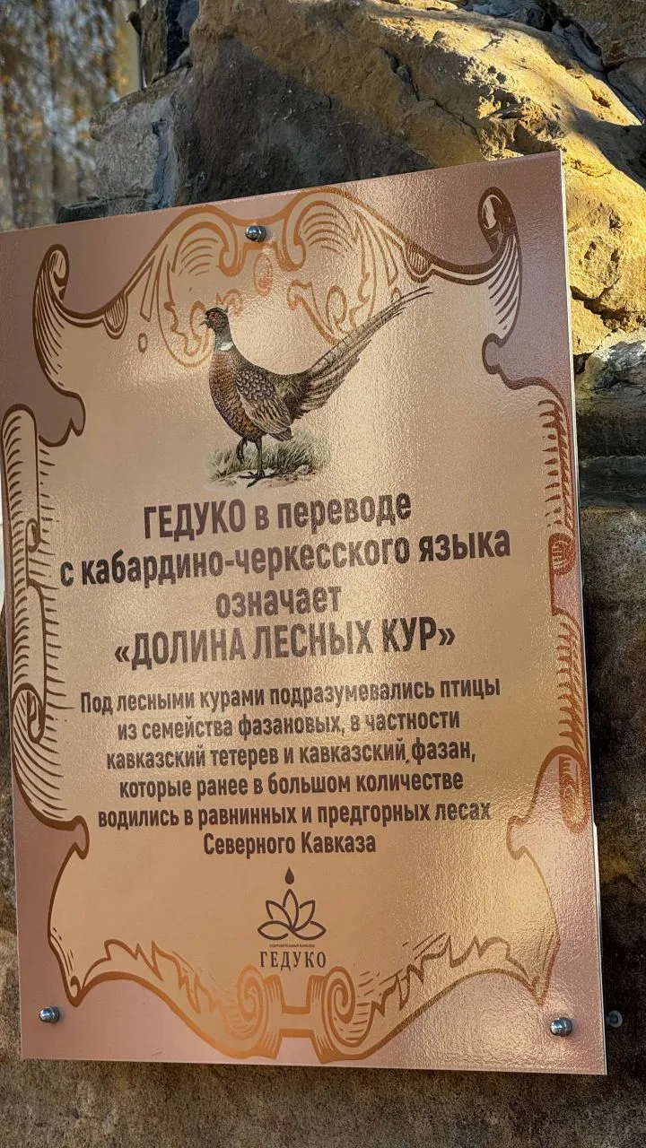 🐦 Павел Барто — поэт и орнитолог