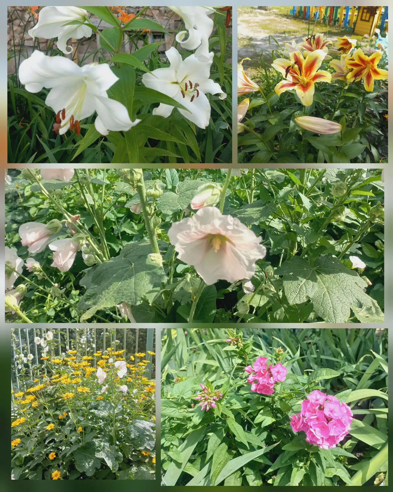🌺🌸🌼🪻🥀Маленький рай прямо на территории детского сада!  Стоит только присмотреться, и увидишь, к