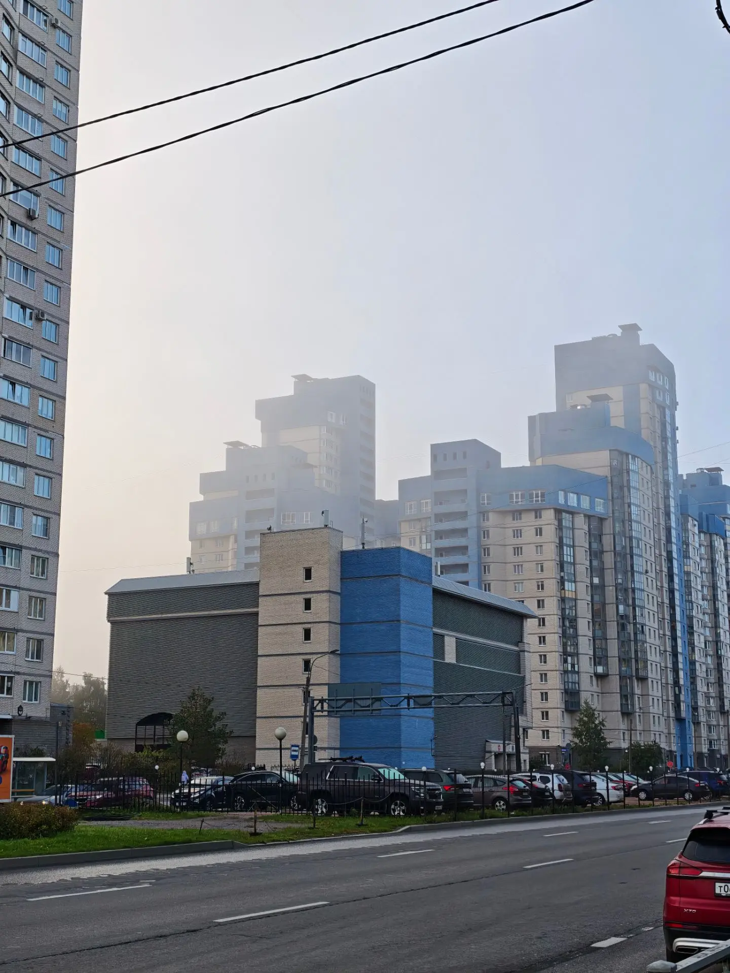 01.10 С утра пораньше была в Хеликсе, сдала кровь, посмотреть как у меня с витамином Д....