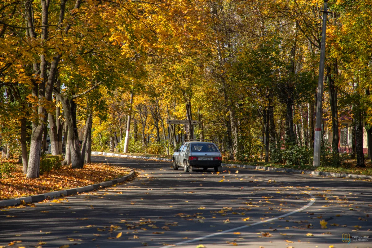🍂 Мокрые листья превращают асфальт в «каток»