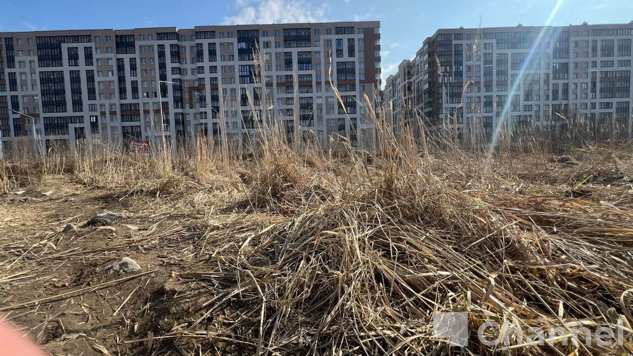 В Кудрово за последние дни несколько раз горели поля. В последний раз пожар заметили минувшей ночью 