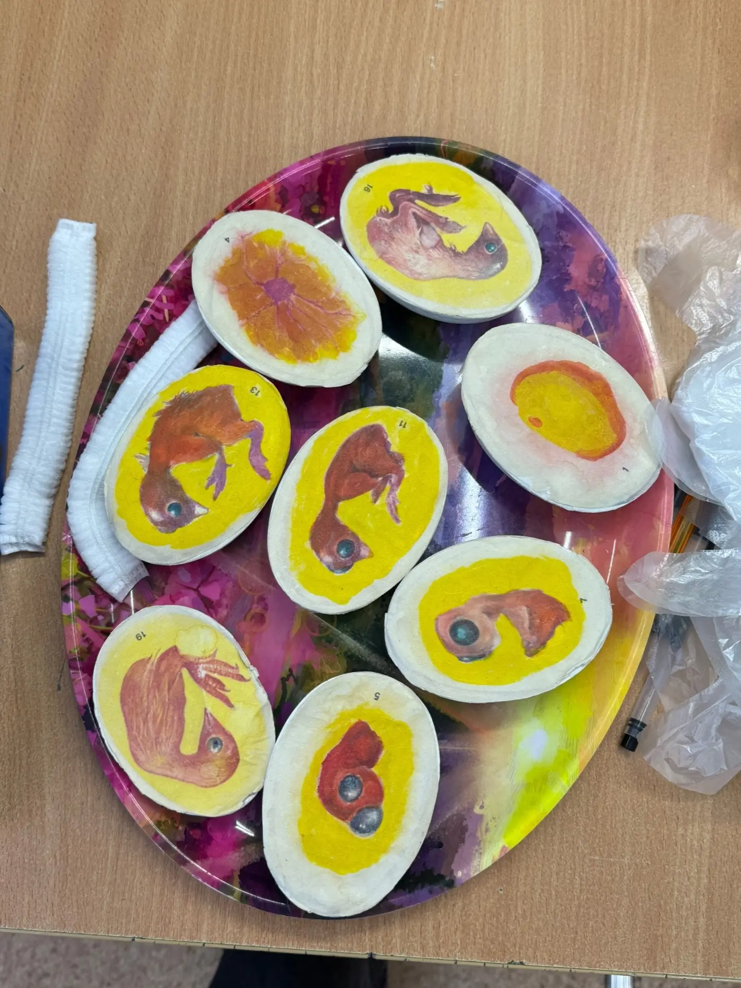 Наука на кончиках пальцев🧪🐣  3 «А» класс окунулся в удивительный мир эмбриологии птиц! 🦜  Что было н